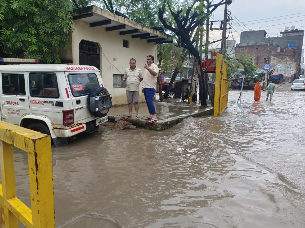 गैलरी फोटो 4