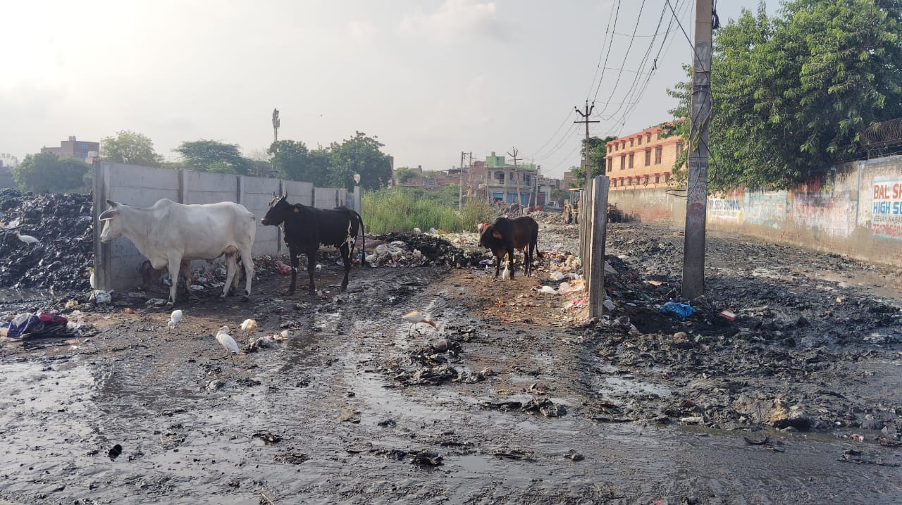 गैलरी फोटो 2