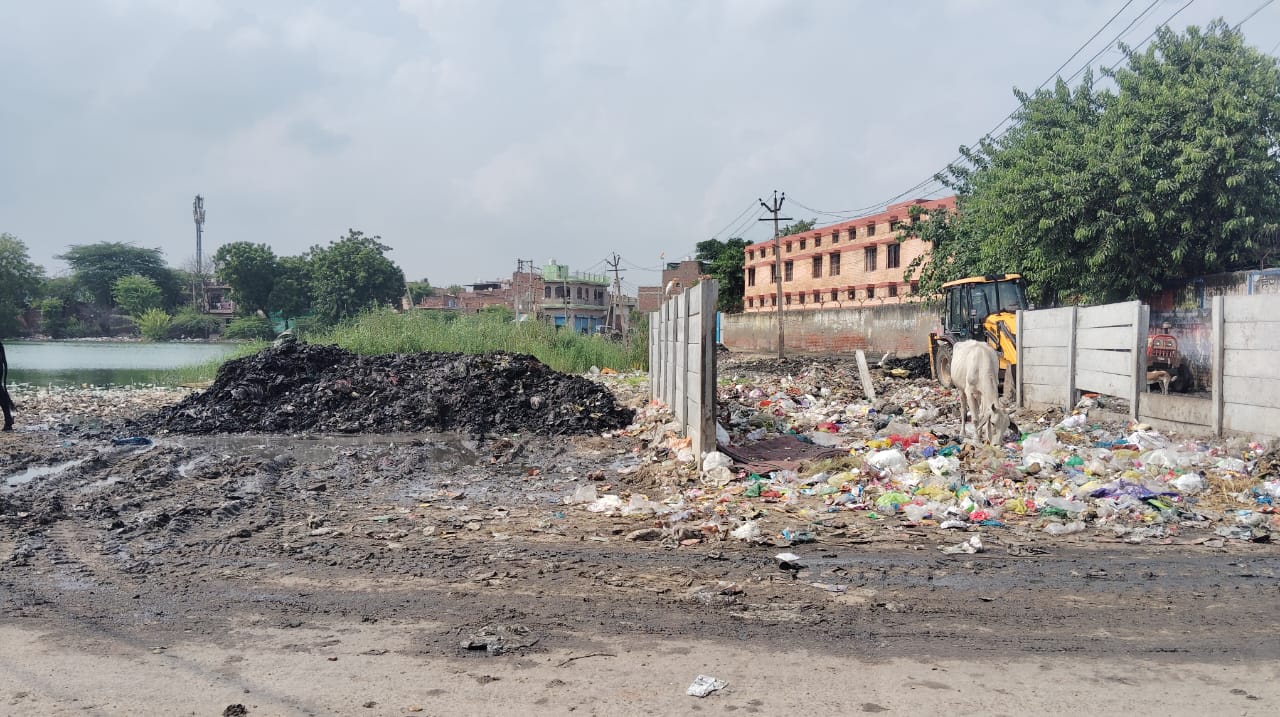 गैलरी फोटो 1